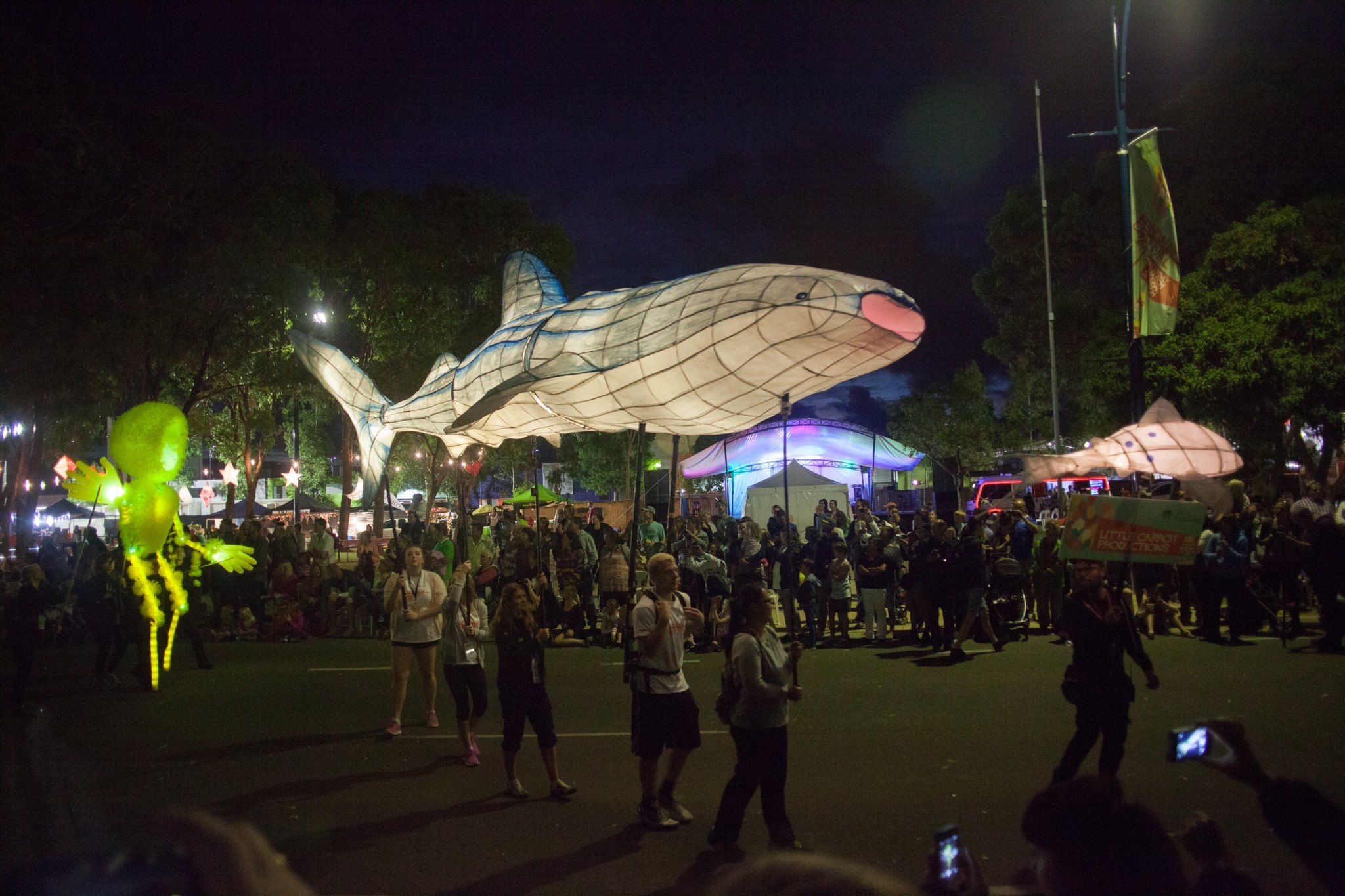 Lewis Horne illuminated art Perth Western Australia Whaleshark Lantern